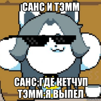 санс и тэмм санс;где кетчуп тэмм;я выпел