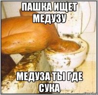 пашка ищет медузу медуза ты где сука