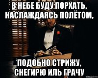 в небе буду порхать, наслаждаясь полётом, подобно стрижу, снегирю иль грачу