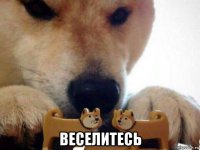  веселитесь