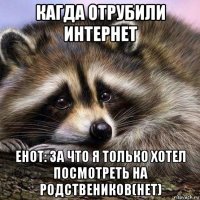 кагда отрубили интернет енот: за что я только хотел посмотреть на родствеников(нет)