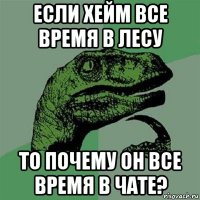 если хейм все время в лесу то почему он все время в чате?