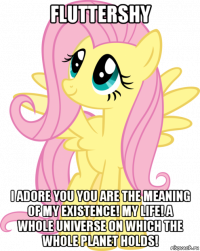 fluttershy i adore you you are the meaning of my existence! my life! a whole universe on which the whole planet holds!