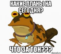 какие планы на сегодня? что за тон???