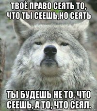 твоё право сеять то, что ты сеешь,но сеять ты будешь не то, что сеешь, а то, что сеял.