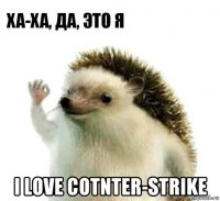  i love cotnter-strike