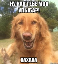 ну как тебе моя улыба?! хахаха