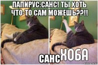 папирус:санс! ты хоть что-то сам можешь??!! санс