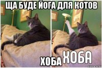 ща буде йога для котов хоба