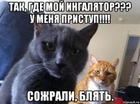 так, где мой ингалятор??? у меня приступ!!!! сожрали, блять.