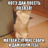 котэ:дай поесть позязя! матвей:суп мне свари, и дам корм тебе.