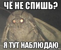 чё не спишь? я тут наблюдаю