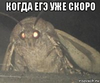 когда егэ уже скоро 