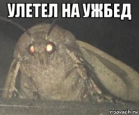 улетел на ужбед 