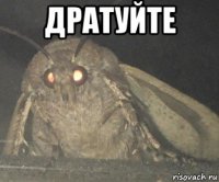 дратуйте 