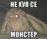 не хуя се монстер