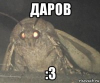 даров :3