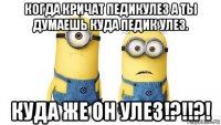 когда кричат педикулез а ты думаешь куда педик улез. куда же он улез!?!!?!