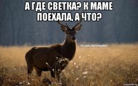 а где светка? к маме поехала, а что? 