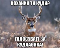 коханий ти куди? голосуваті за кудлаєнка!