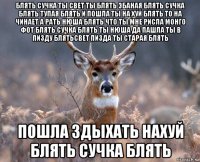 блять сучка ты свет ты блять эбаная блять сучка блять тупая блять и пошла ты на хуй блять то на чинает а рать нюша блять что ты мне рисла монго фот блять сучка блять ты нюша да пашла ты в пизду блятьсвет пизда ты старая блять пошла здыхать нахуй блять сучка блять