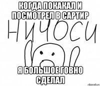 когда покакал и посмотрел в сартир я большое говно сделал