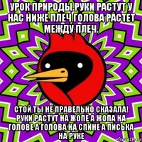 урок природы.руки растут у нас ниже плеч голова растет между плеч. стой ты не правельно сказала! руки растут на жопе а жопа на голове а голова на спине а писька на руке