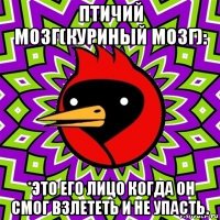 птичий мозг(куриный мозг): *это его лицо когда он смог взлететь и не упасть.