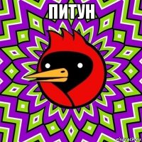 питун 