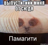 выпуститиии миня от сюдя 