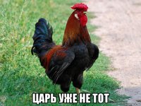  царь уже не тот