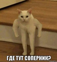  где тут соперник?