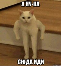 а ну-ка сюда иди