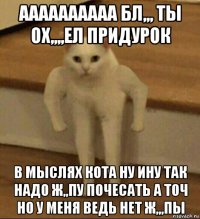 аааааааааа бл,,, ты ох,,,,ел придурок в мыслях кота ну ину так надо ж,,пу почесать а точ но у меня ведь нет ж,,,пы