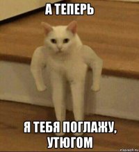 а теперь я тебя поглажу, утюгом