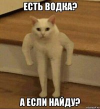 есть водка? а если найду?