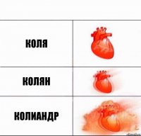 Коля колян колиандр