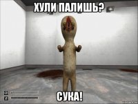 хули палишь? сука!