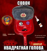 совок квадратная голова