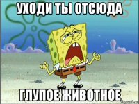 уходи ты отсюда глупое животное