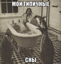 мои типичные сны