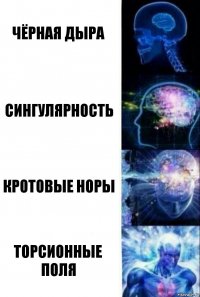 Чёрная дыра Сингулярность Кротовые норы Торсионные поля