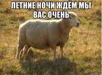 летние ночи ждём мы вас очень 