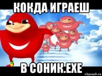 кокда играеш в соник.exe