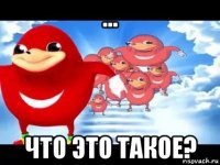 ... что это такое?