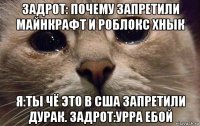 задрот: почему запретили майнкрафт и роблокс хнык я:ты чё это в сша запретили дурак. задрот:урра ебой