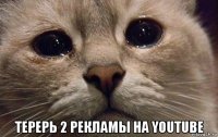  терерь 2 рекламы на youtube