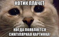 котик плачет когда появляется сингулярная картинка!