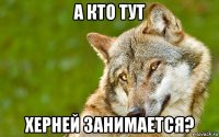 а кто тут херней занимается?