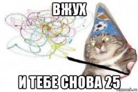 вжух и тебе снова 25